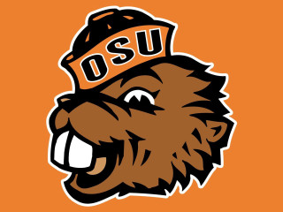 Brown bear hat osu smiling 2 - a brown bear free wallpaper