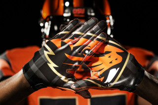 Close up football uniform tiger - a tiger free wallpaper