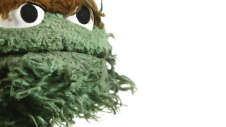 Stuffed animal closeup eyes beard - gritty free wallpaper