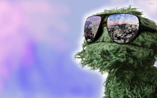 Green animal sunglasses city reflection - gritty free wallpaper