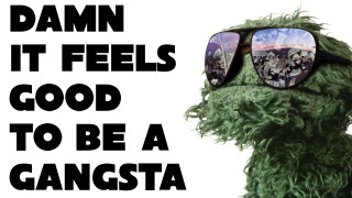 Green monster sunglasses damn it - a green monster free wallpaper