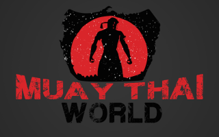 Muay thai world logo silhouette - a logo free wallpaper