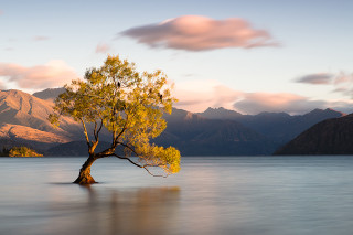 Lone tree lake mountains sunset 2 - anthony s waters free wallpaper