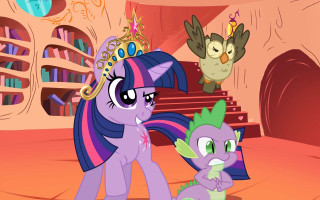Pony ponies bookshelves owls fantasy - epic fantasy free wallpaper