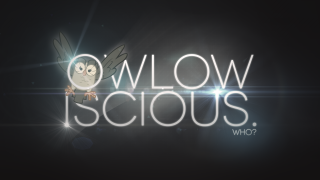 Owl iscious image background pic - the background of the image free wallpaper