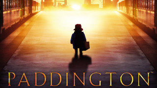 Person hallway suitcase train sunlight - david young cameron free wallpaper