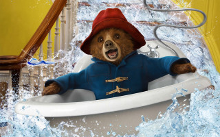 Bear bathtub red hat mouth - beatrix potter free wallpaper