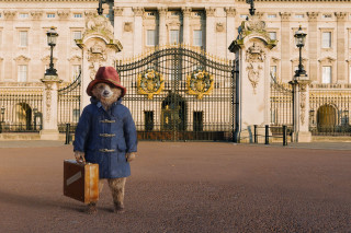 Teddy bear blue coat suitcase - a suitcase in front free wallpaper