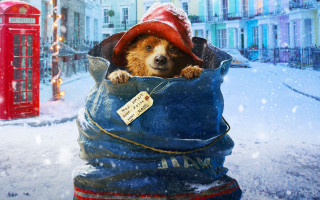 Dog in bag with hat - its ear free wallpaper