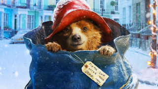 Dog hat bag snow sign - beatrix potter free wallpaper