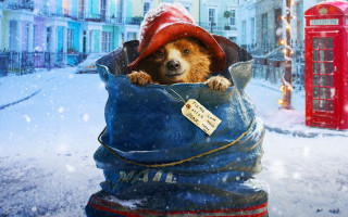 Dog in bag with hat 2 - furry free wallpaper