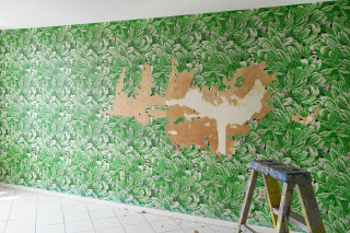 Green wall painting ladder room - blunt free wallpaper