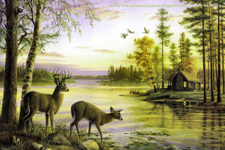 Deer lake cabin birds flying - two deer free wallpaper