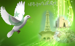 White dove flying green background - green free wallpaper