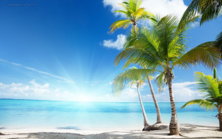 Beach palm trees sun clouds 2 - the cloud free wallpaper