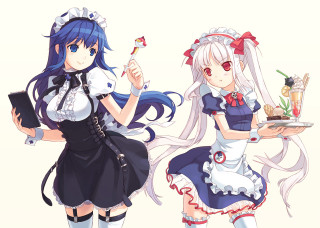 Anime girls blue hair maid - blue hair holding free wallpaper