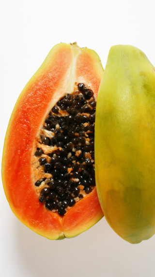 Papaya fruit white background gradient - boetius adamsz bolswert free wallpaper