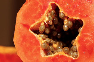 Papaya closeup seeds center fruit - center piece free wallpaper