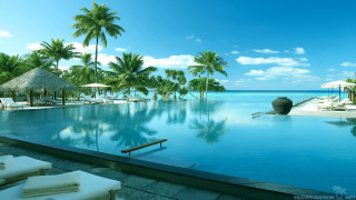 Large pool ocean view palm - a large pool free wallpaper