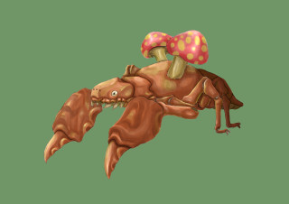 Cartoon crab mushroom back funny - game art free wallpaper