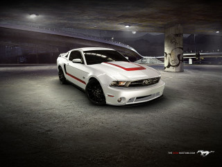 White mustang red stripe hood - a red stripe free wallpaper for desktop