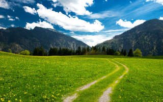 Dirt road green field mountains - a dirt road free wallpaper