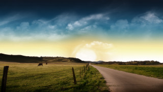 Horse grazing green field cloudy - a sunbeam free wallpaper