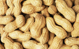 Peanuts pile brown background white - this image free wallpaper