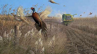 Bird field tractor flying trucks - a truck in the background free wallpaper
