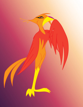 Bird long beak tail wings - a long beak free wallpaper