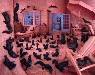 Cats room chair umbrella ground - surreality free wallpaper