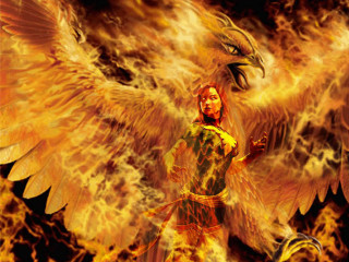 Woman bird arm fire background - a large bird free wallpaper