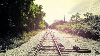Train track person sitting trees - a photo free wallpaper