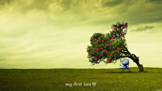 Tree heart decoration chair field - cloudy free wallpaper