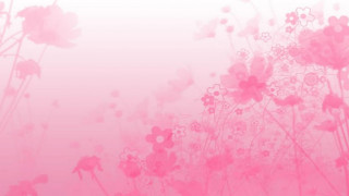 Pink background flowers butterfly side - abstract art free wallpaper