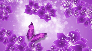 Purple butterfly purple flower white 3 - white star free wallpaper