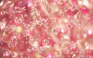 Pink bubbles underwater microscopic holography - david lachapelle free wallpaper