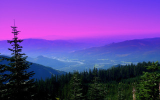 Mountain range purple sky tree - a view of a mountain range free wallpaper