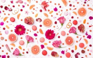 White surface summer vibrancy pink - other thing free wallpaper