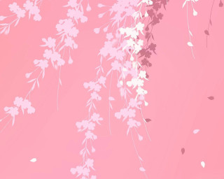 Pink background white flowers leaves - white flower free wallpaper