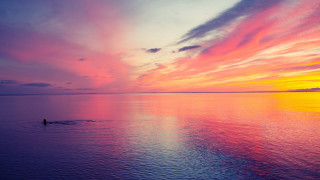 Person water sunset bird sky - anthony s waters free wallpaper