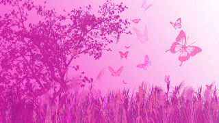 Field grass tree butterflies sky - magical free wallpaper for desktop