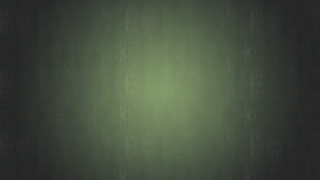 Green wall black white vase - a white vase free wallpaper