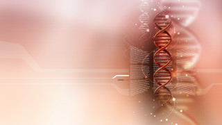 Double stranded spiral red white - line free wallpaper