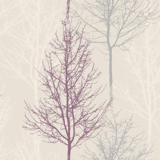 Tree winter foggy background pink - foggy free wallpaper