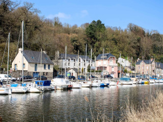 Boats docked harbor houses trees - a hill side free wallpaper