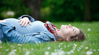Pregnant woman grass park head - a park free wallpaper