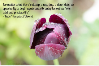 Pink flower quote on it 3 - a pink flower free wallpaper