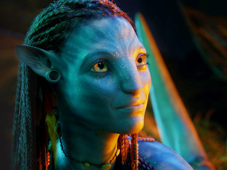 Woman blue makeup braids green - neoprimitivism free wallpaper
