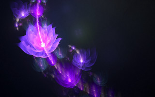 Purple flower black background white 2 - volumetric free wallpaper